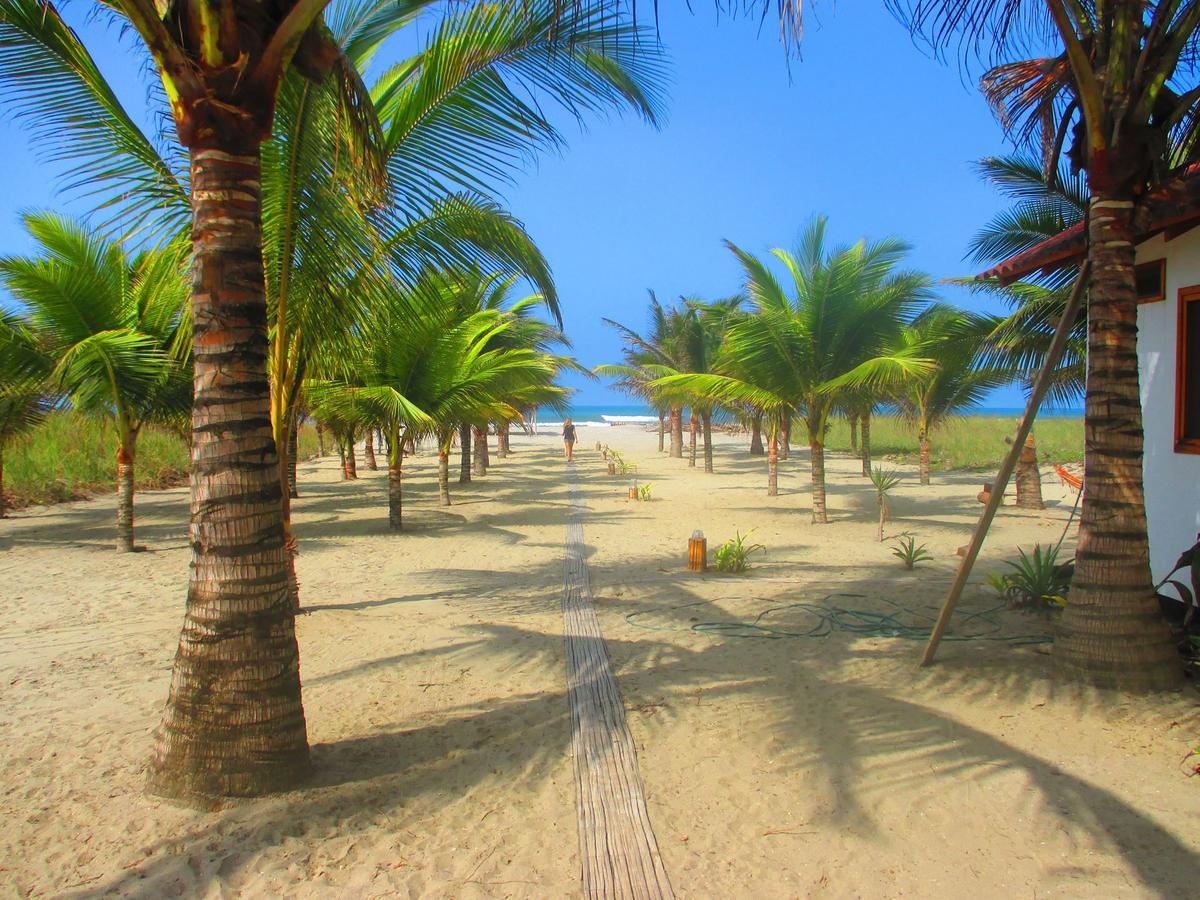 Beach Front Bungalows At The Coconut Canoa Exterior photo